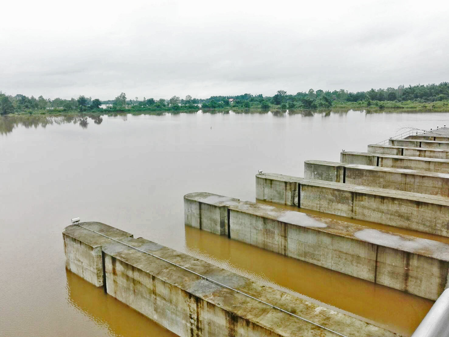 โครงการ