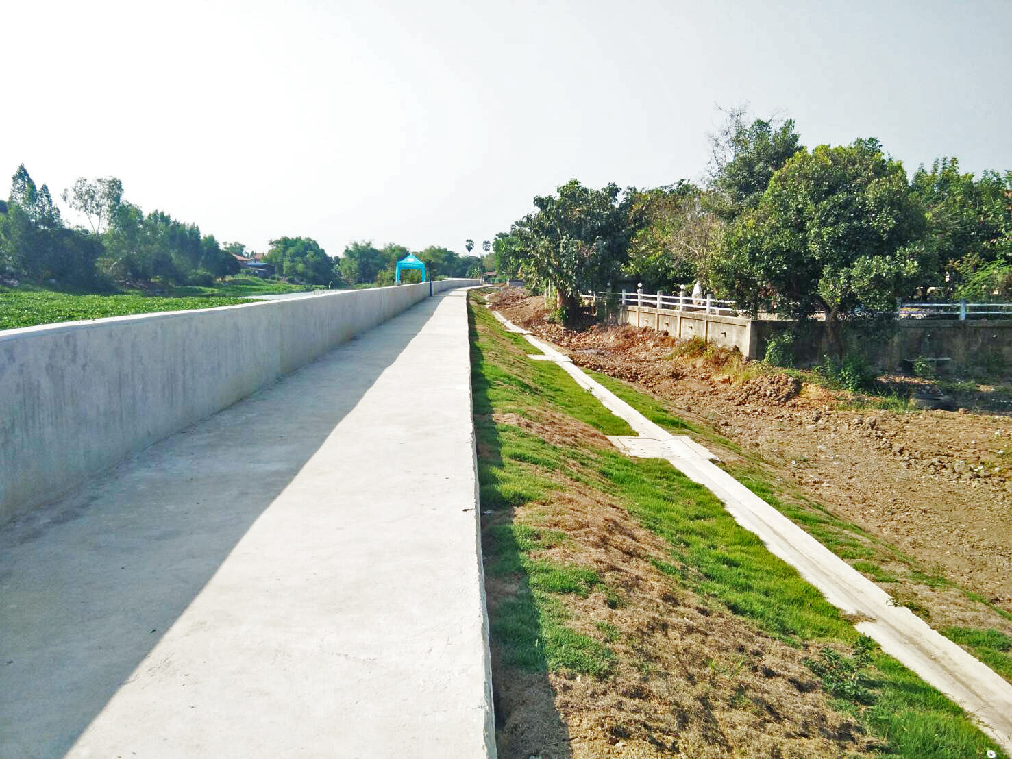 โครงการ